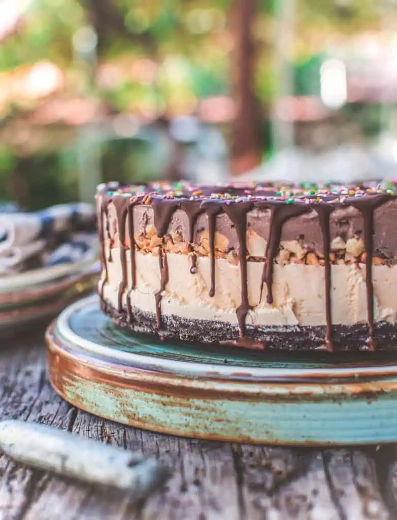 oreo cookie crust vegan ice cream cake with chocolate drizzle and chopped peanuts