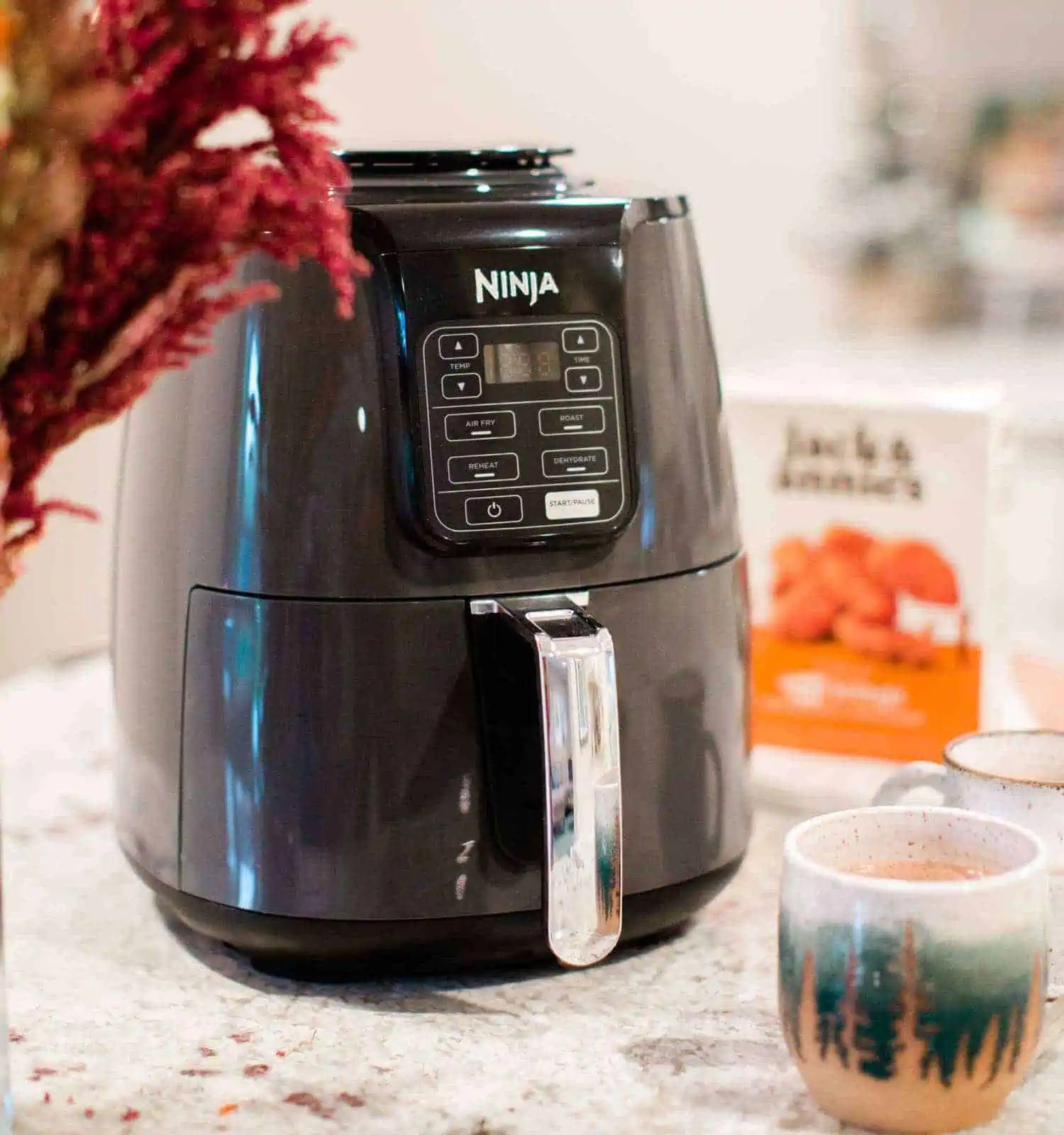 ninja air fryer with jack and annies vegan nuggets staged on world of vegan countertop