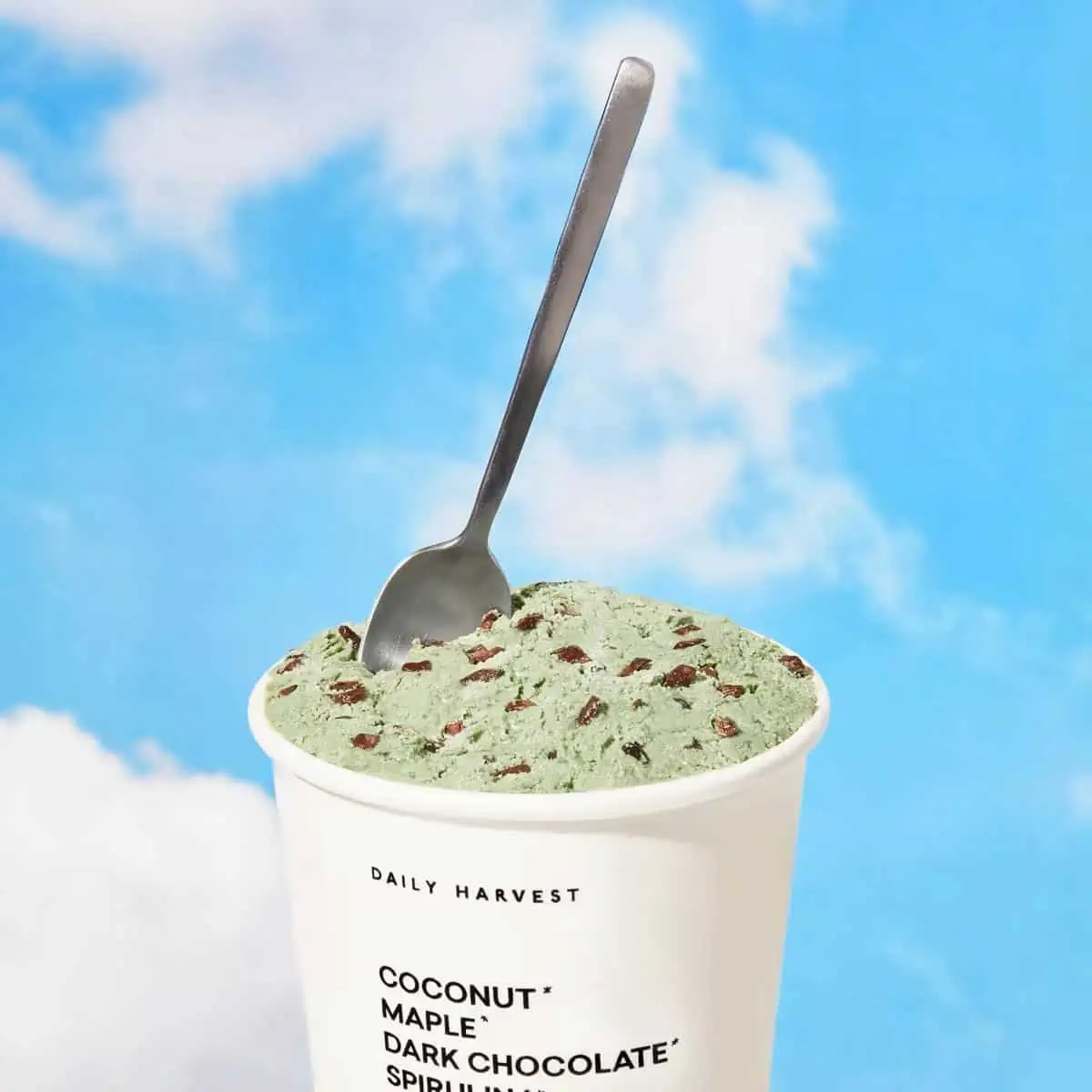 A pint of Daily Harvest scoop mint chocolate flavor with a spoon scooping into it.