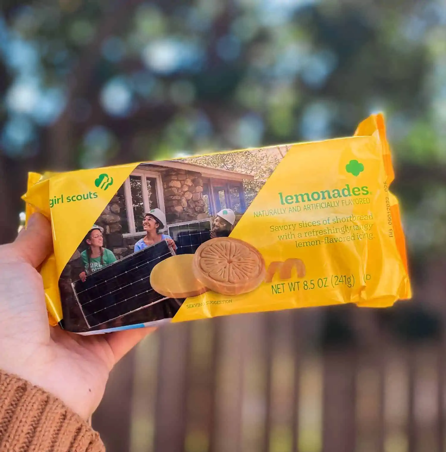 Hand holding a package of lemonades vegan girl scout cookies in a yellow bag