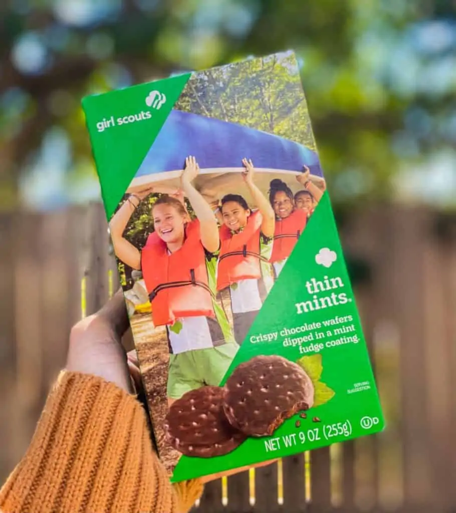 Green box of vegan thin mints girl scout cookies from ABC bakers 