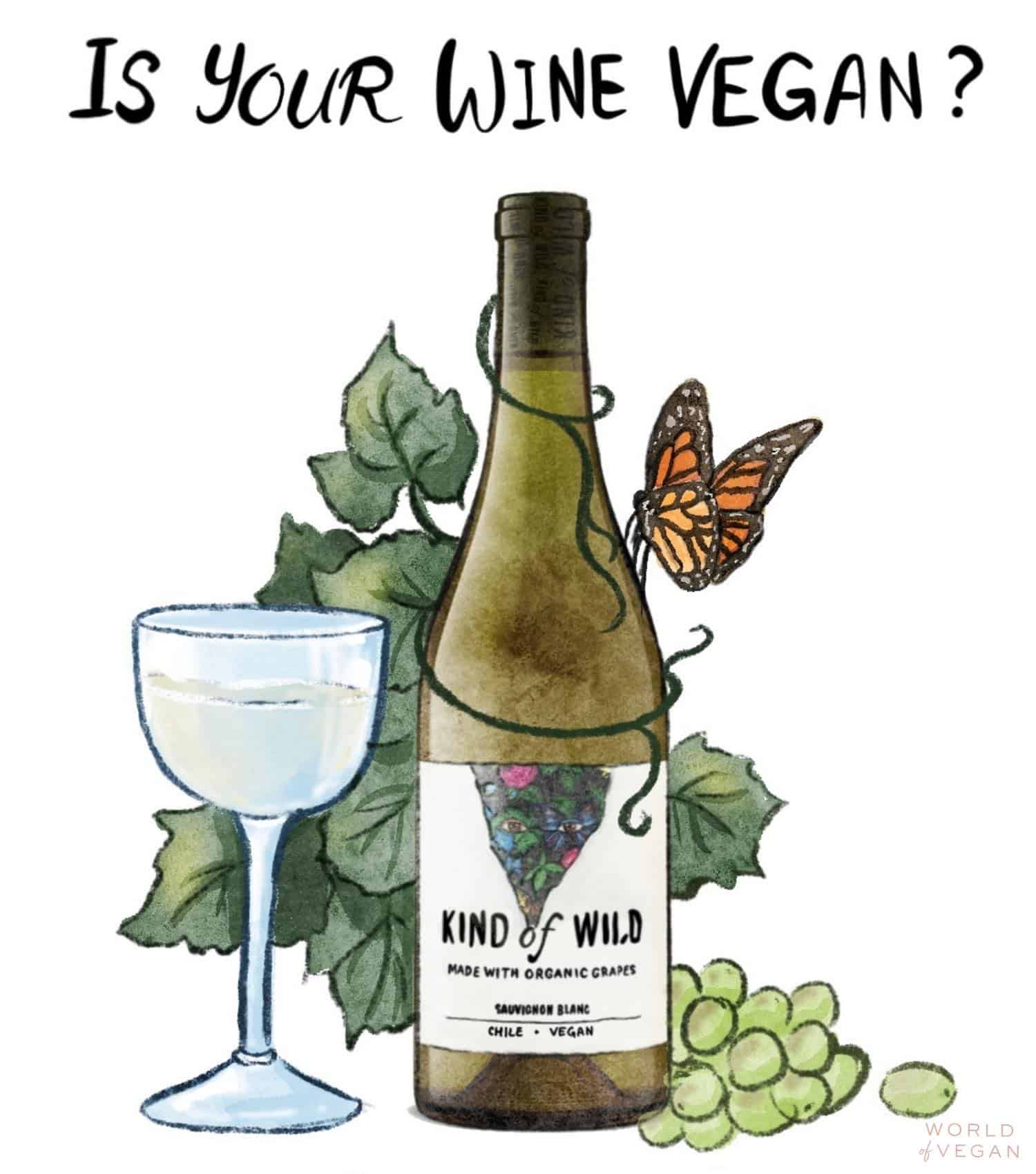 kind of wild bottle of organic vegan wine illustrated with grapes vines and a butterfly