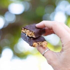 chocolate covered vegan snickers candy bars from gigantic