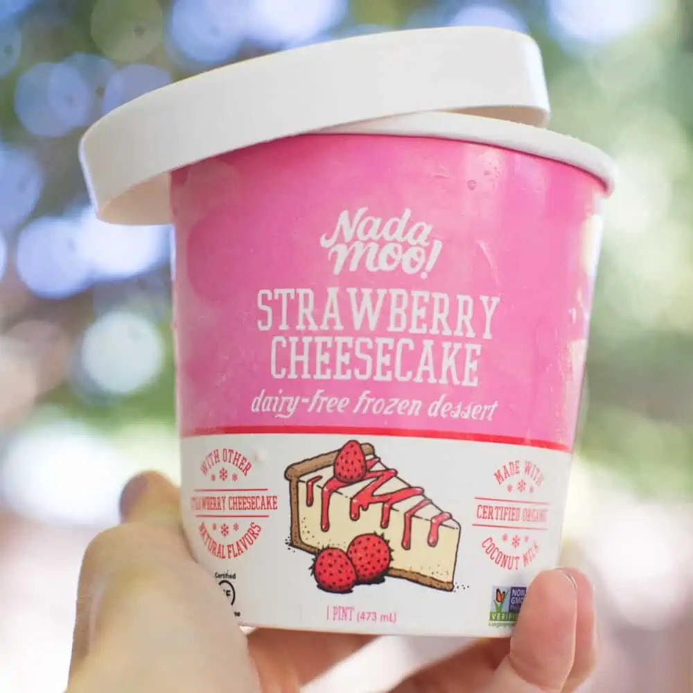 Vegan and sugar free ice cream near me and you!