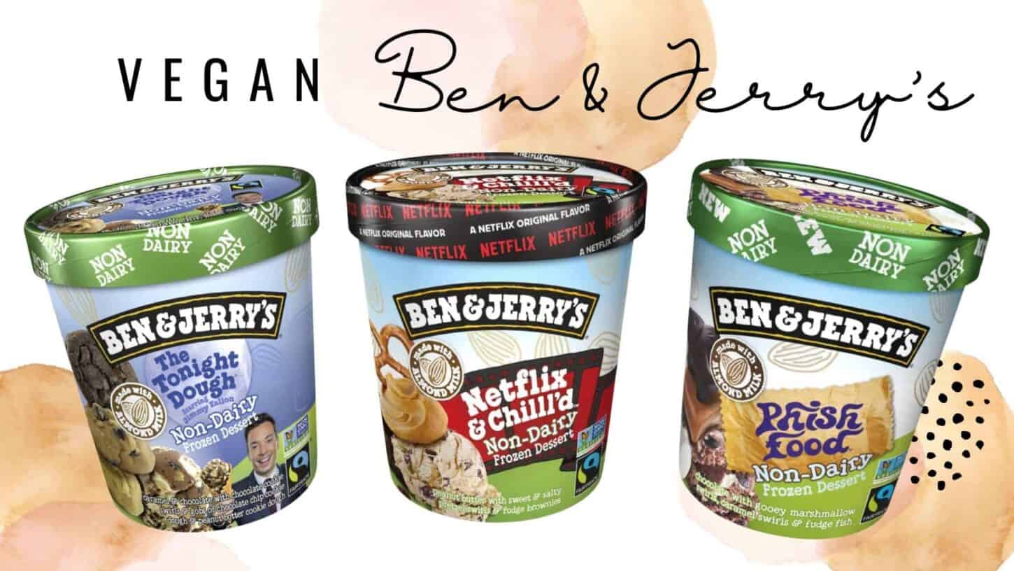 Ben & Jerry's Vegan NonDairy Ice Cream (Full Flavors Guide)
