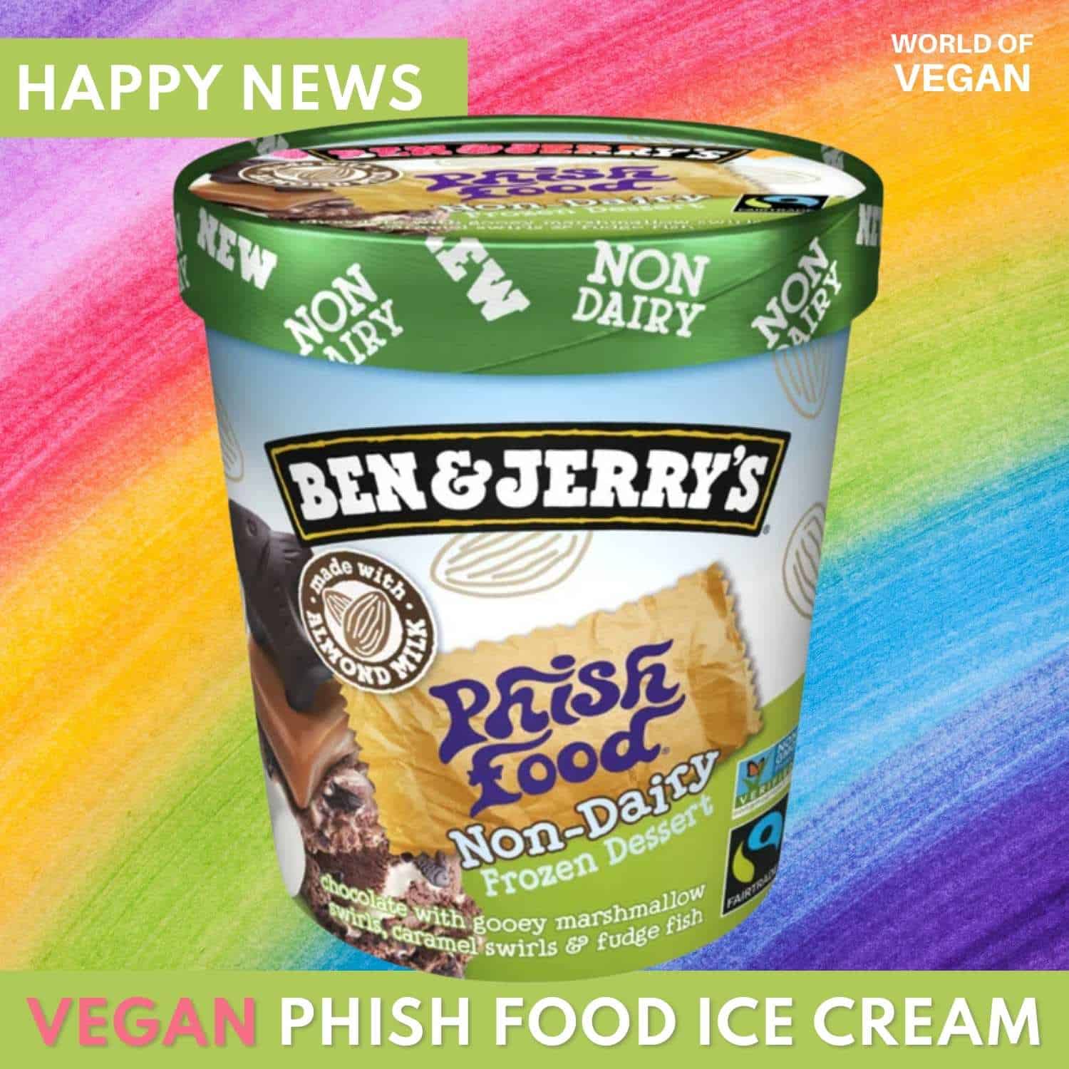 dairy free phish food ice cream container ben and jerrys
