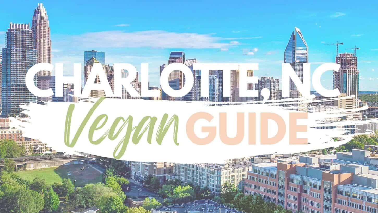 best vegan restaurants in charlotte nc