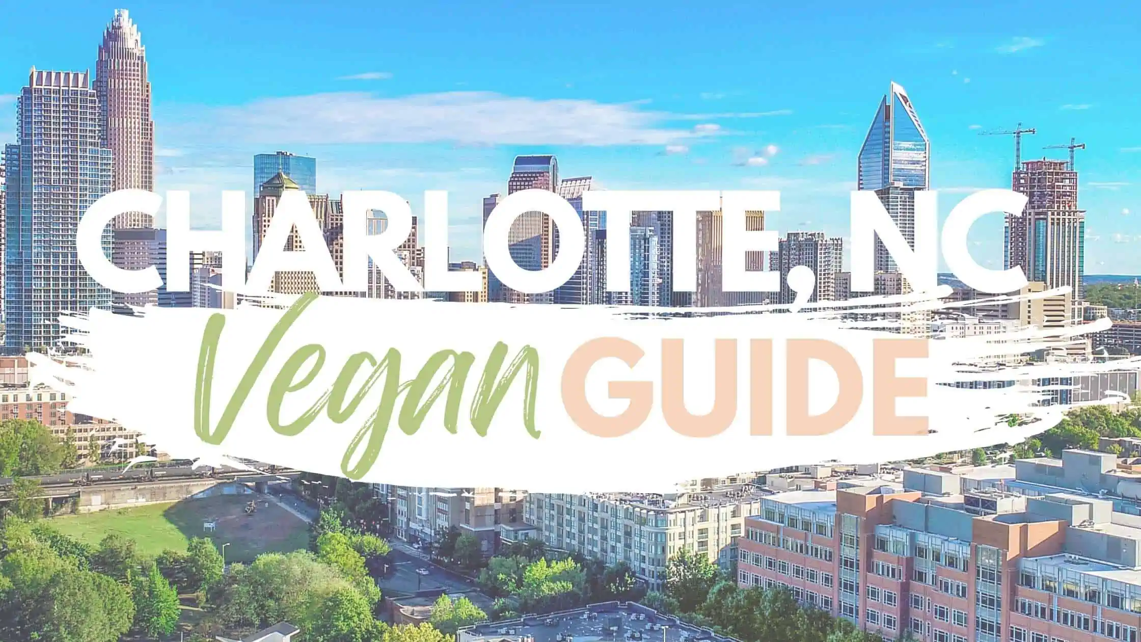 Best Vegetarian & Vegan Restaurants in Charlotte, NC