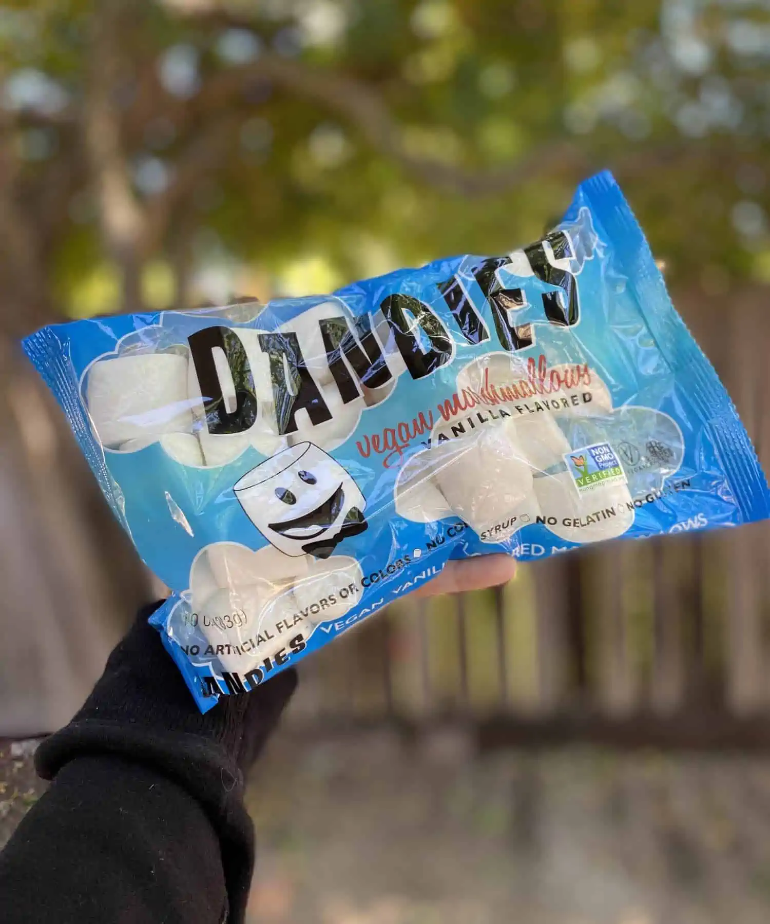 Dandies Original Vanilla Vegan Marshmallows in Bag Outside Campfire