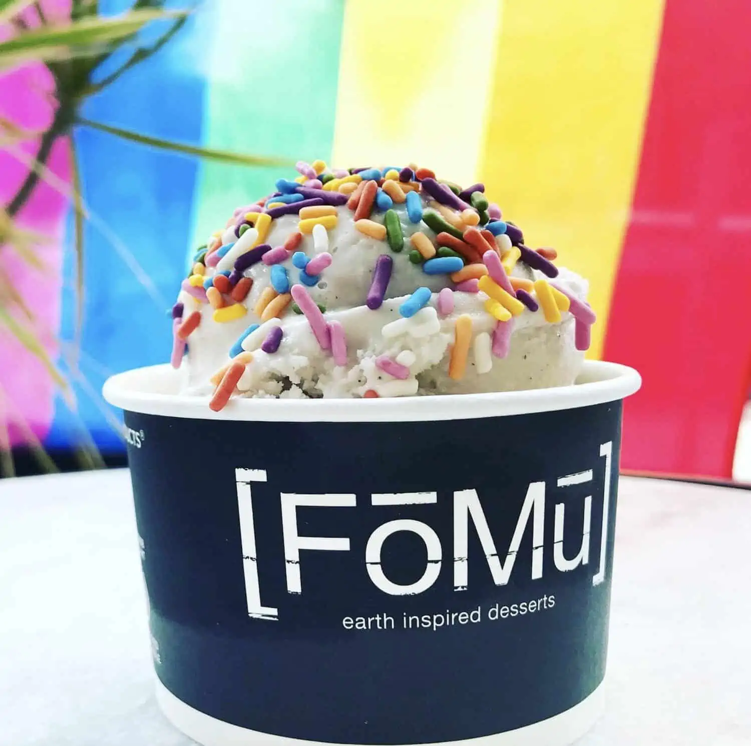 FoMu dairy free vegan ice cream in boston