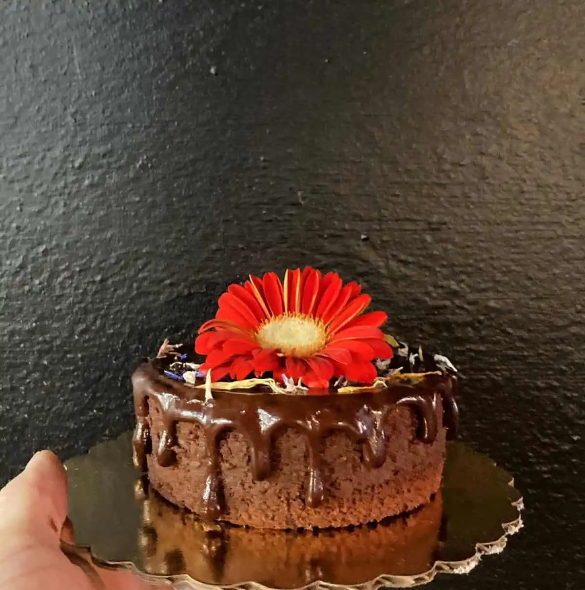 A vegan chocolate cake from Gallivant Coffee in Asheville.