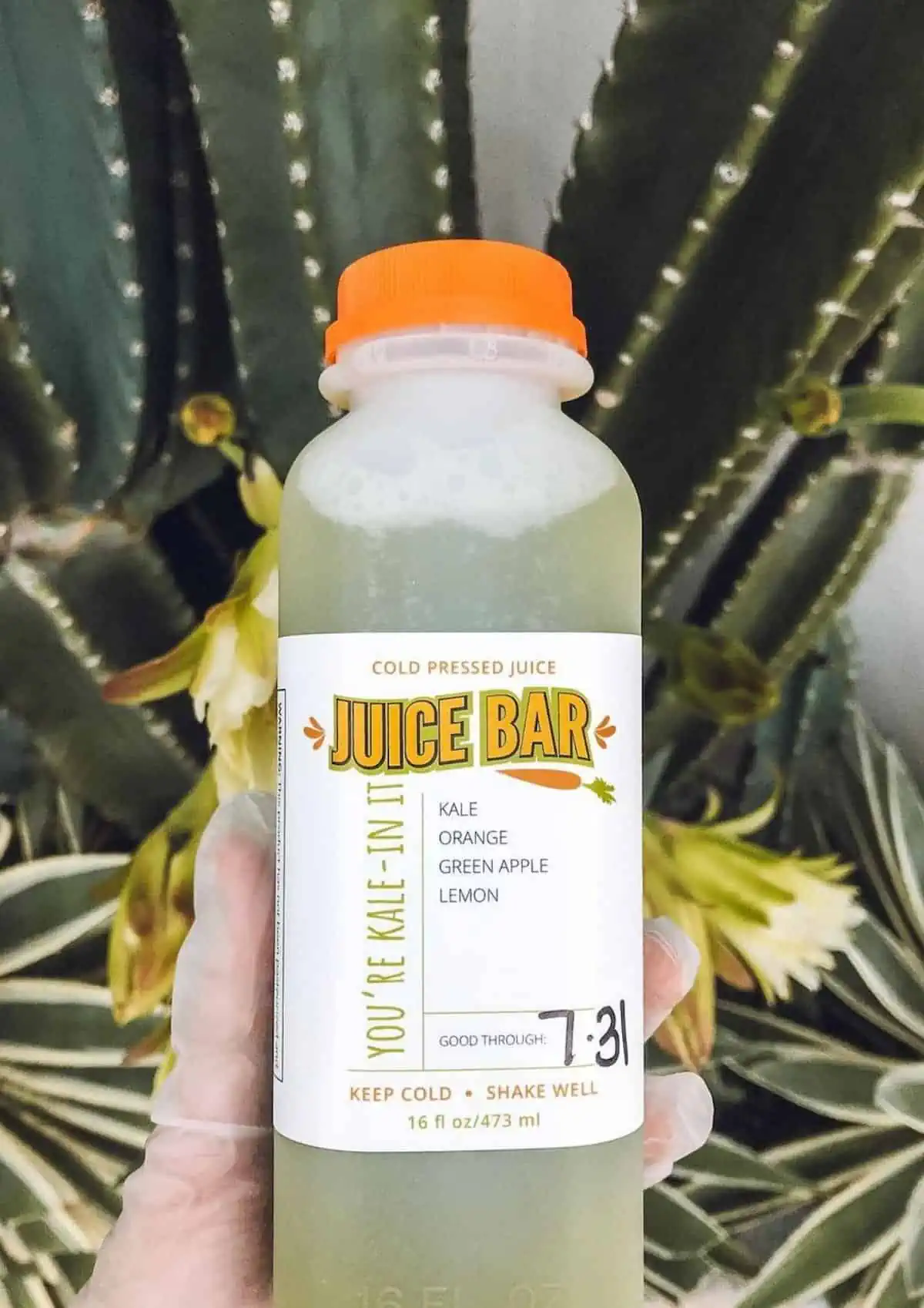Cold-pressed juice from Juice Bar Orlando.