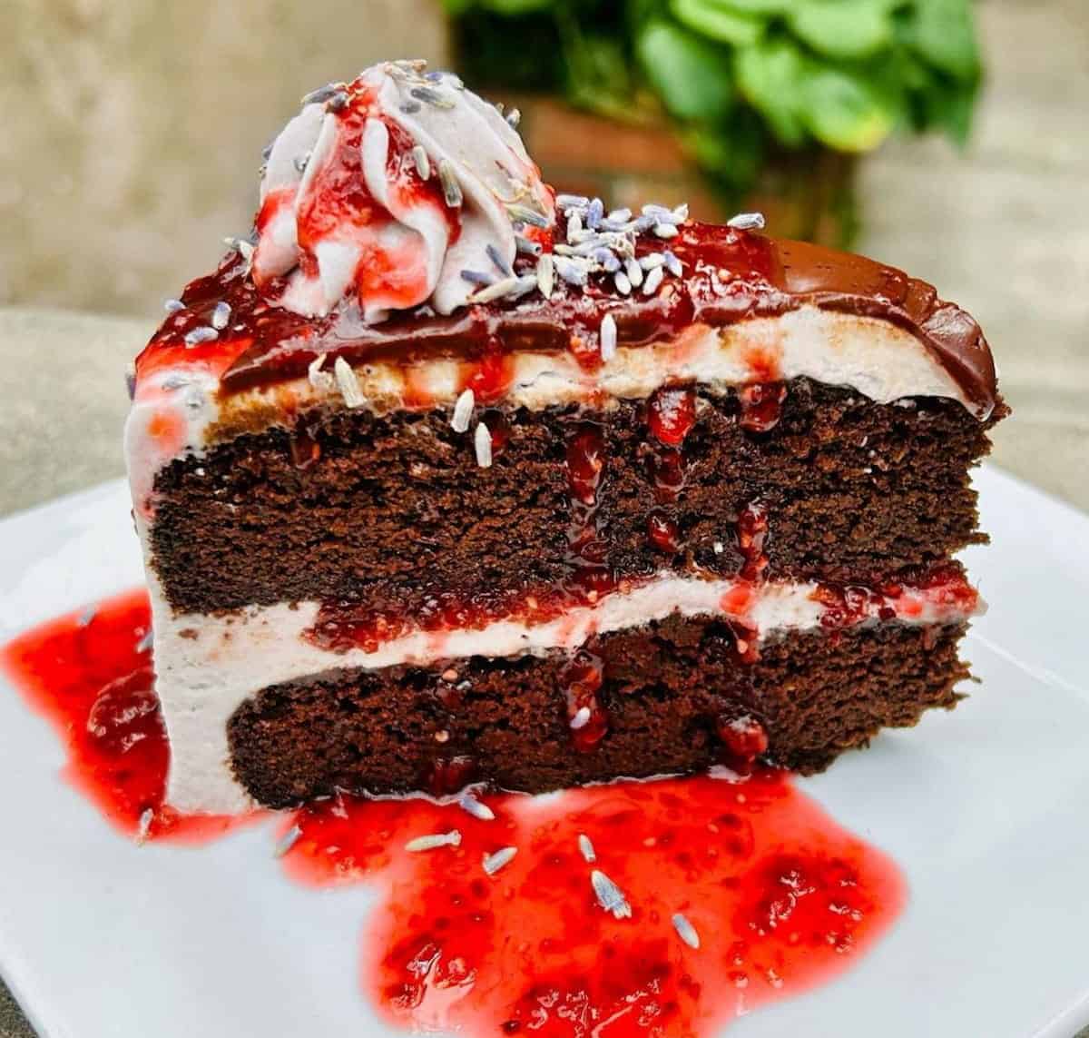 A piece of vegan chocolate lavendar berry cake at Laughing Seed Cafe in Asheville.