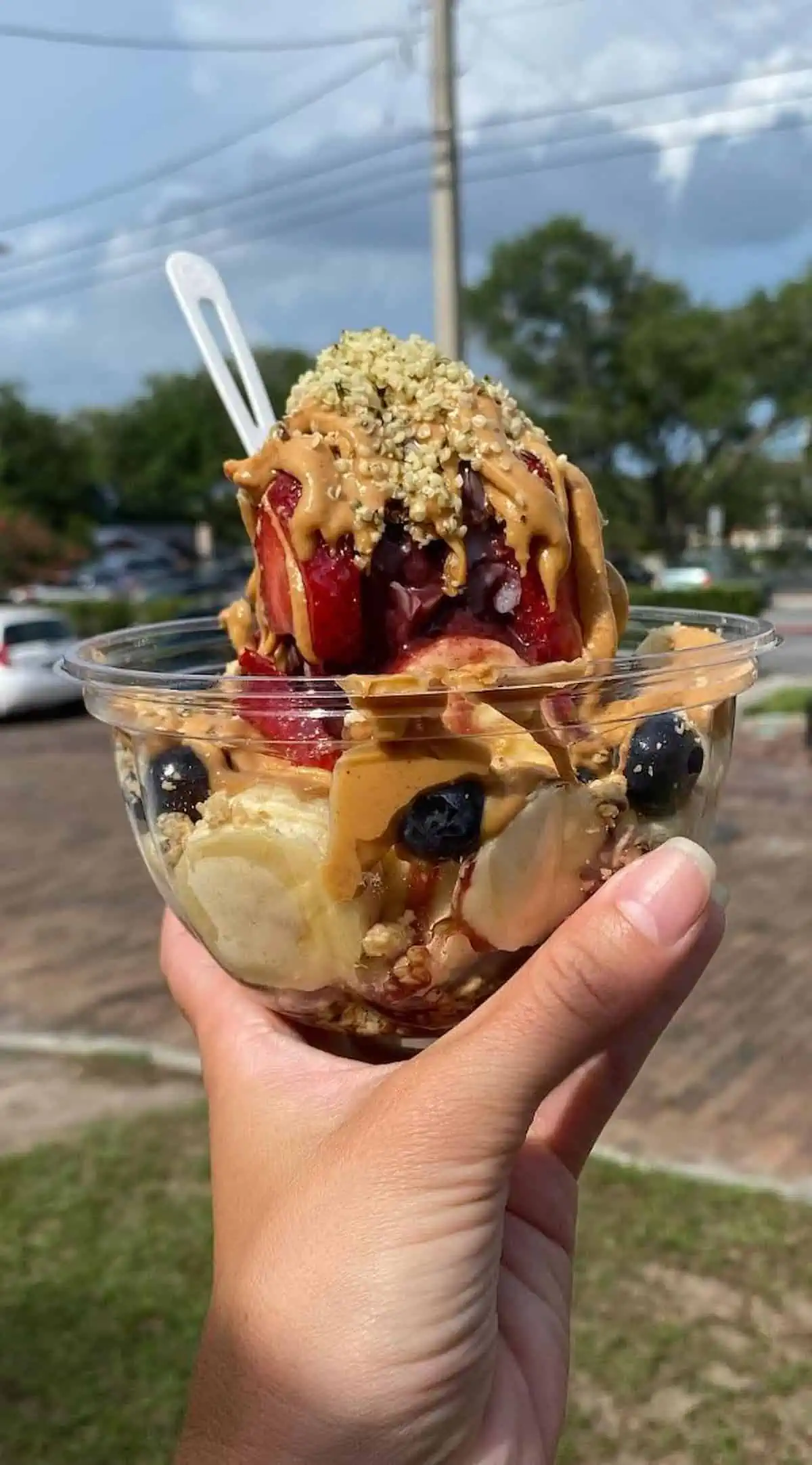 An acai bowl from Purple Ocean Super Food Bar.