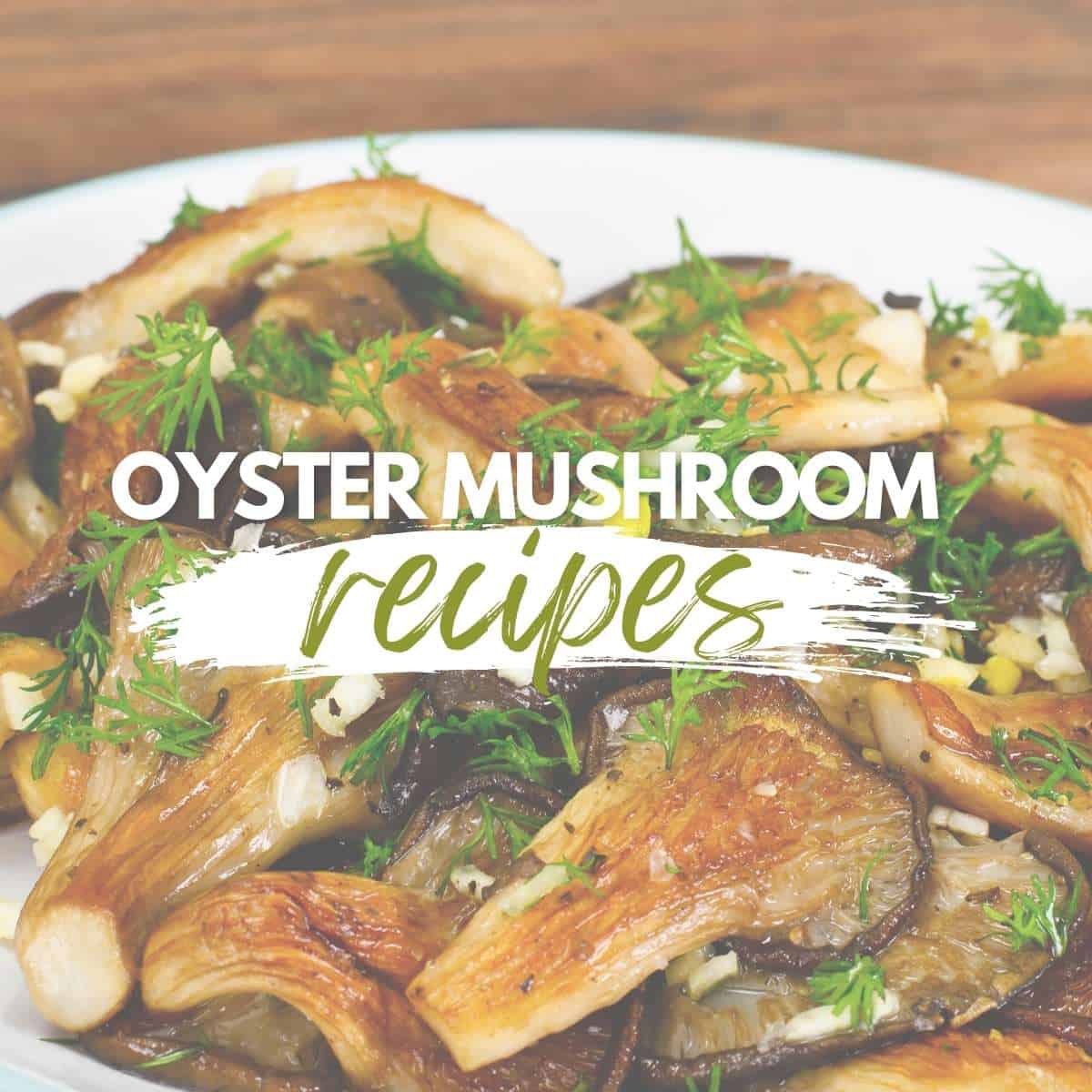 25 Amazing Oyster Mushroom Recipe Ideas to Try