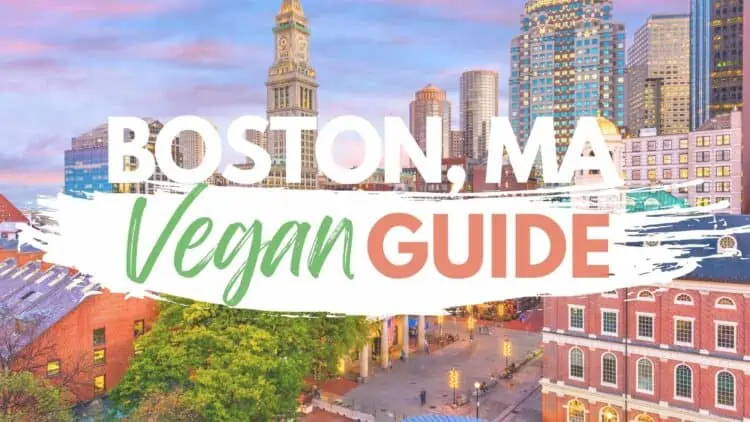 Guide to Vegan Grocery Shopping (In Store and Online!)