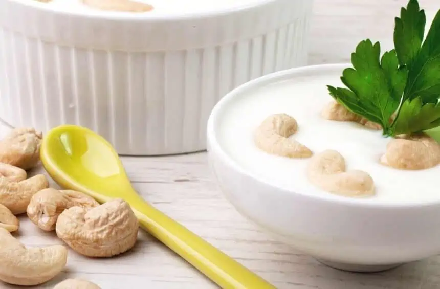 https://www.worldofvegan.com/wp-content/uploads/2022/04/cashew-sour-cream-recipe-homemade-860x565.webp