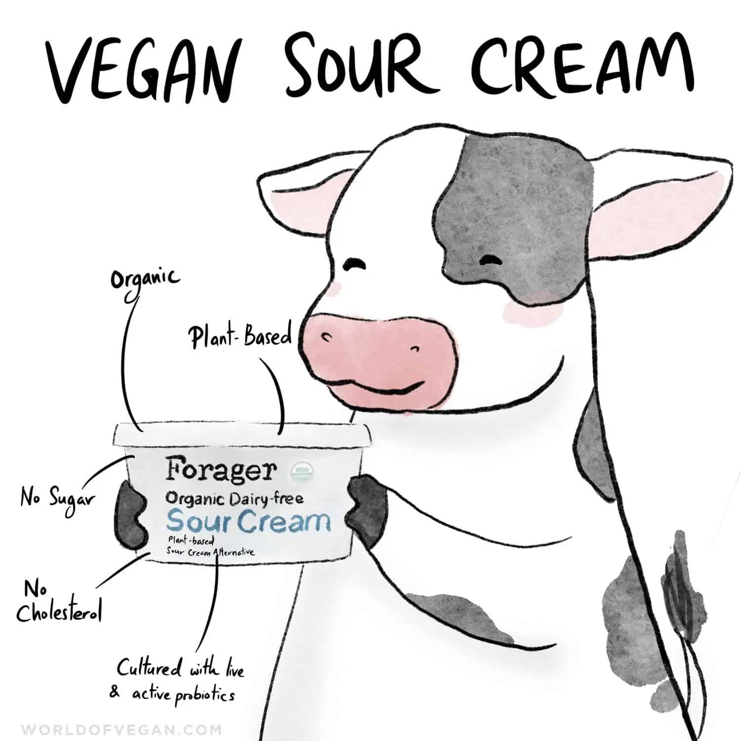 Easy Vegan Sour Cream Plant-Based Recipe