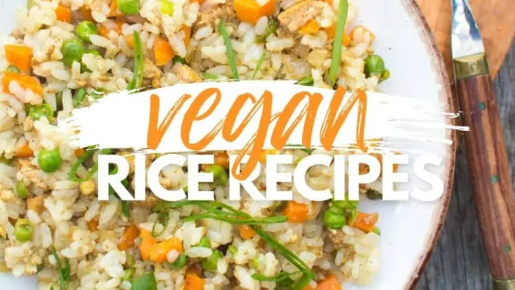 The Best Vegan Rice Recipes {Vegetarian & Dairy-Free}
