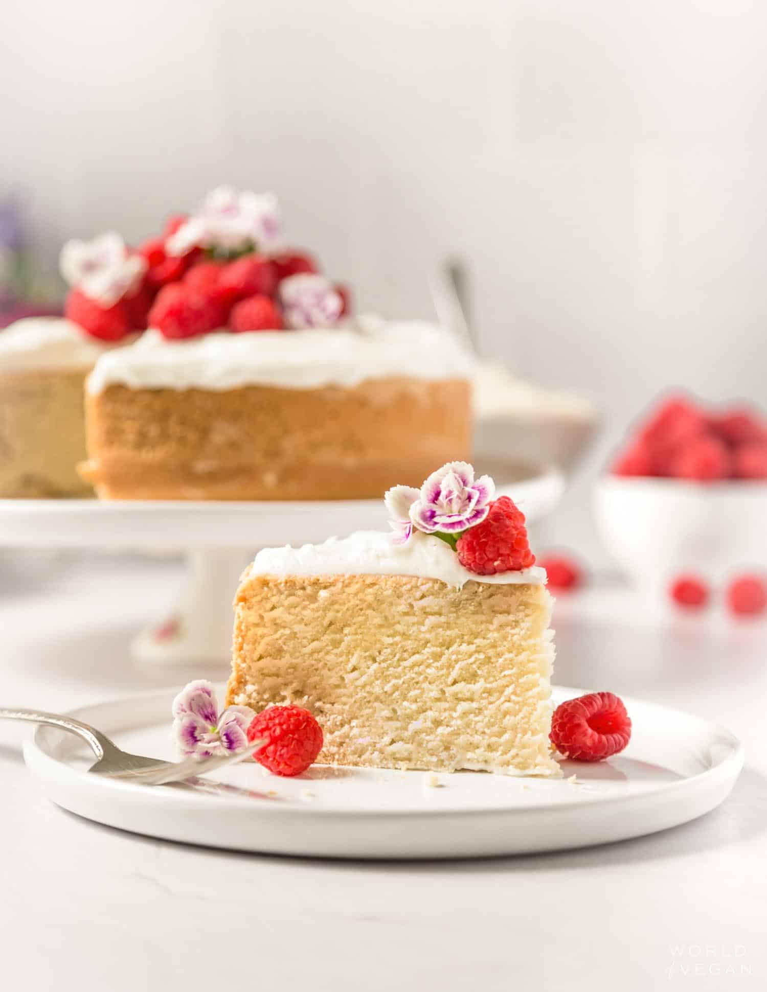 https://www.worldofvegan.com/wp-content/uploads/2022/06/vegan-sponge-cake-recipe-3.jpg