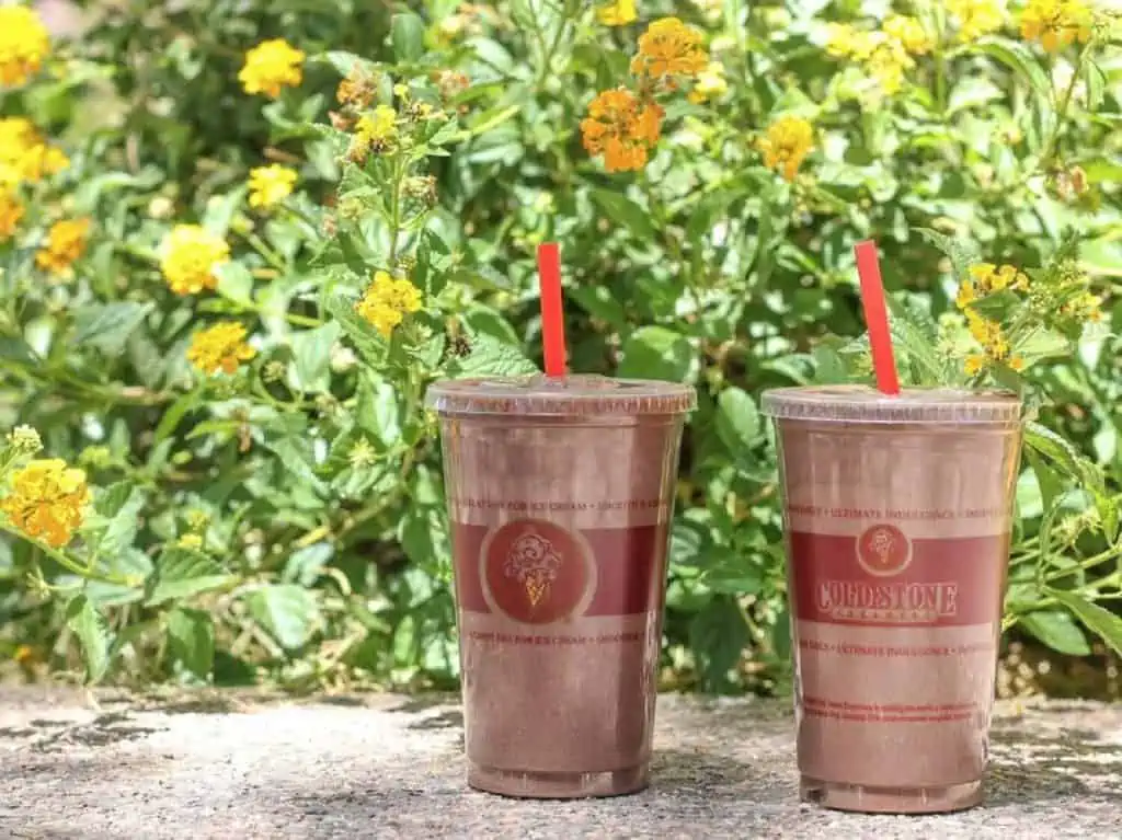 Two vegan chocolate shakes in plastic Cold Stone Creamery cups with red straws sitting on the ground near yellow flowers.