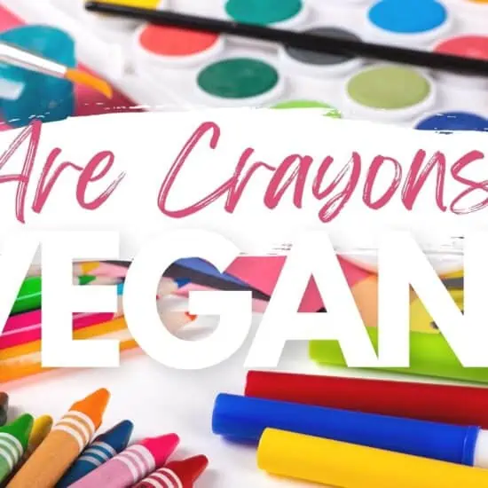 are crayola crayons vegan art supplies graphic