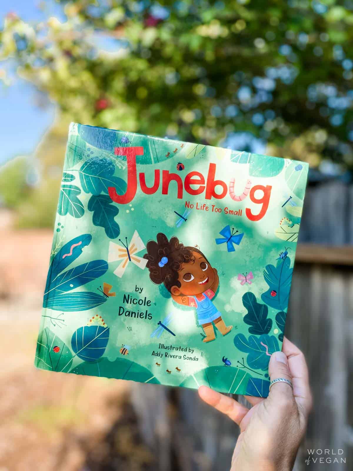 junebug book about being kind to bugs and insects