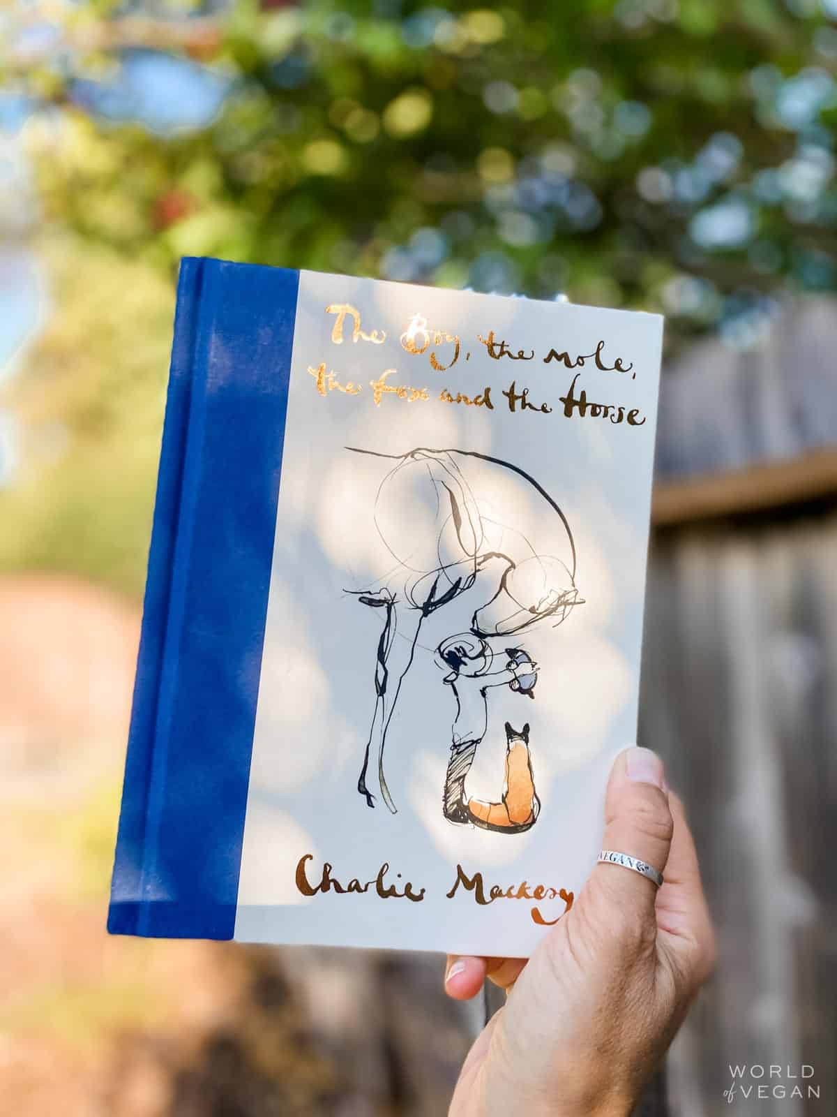 hand holding out the boy the mole the fox and the horse book cover in backyard