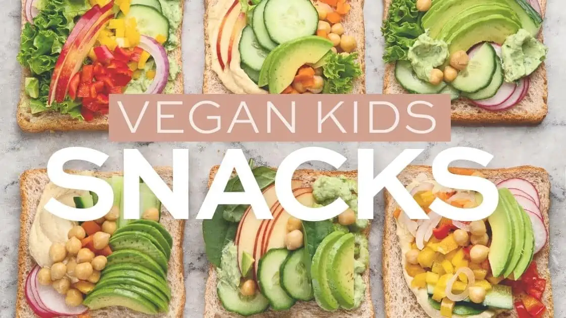 https://www.worldofvegan.com/wp-content/uploads/2022/08/Vegan-kids-snacks-and-ideas-for-picky-plant-based-toddlers.webp