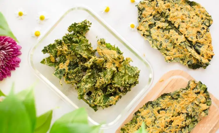 The BEST Cheezy Dehydrator Kale Chips