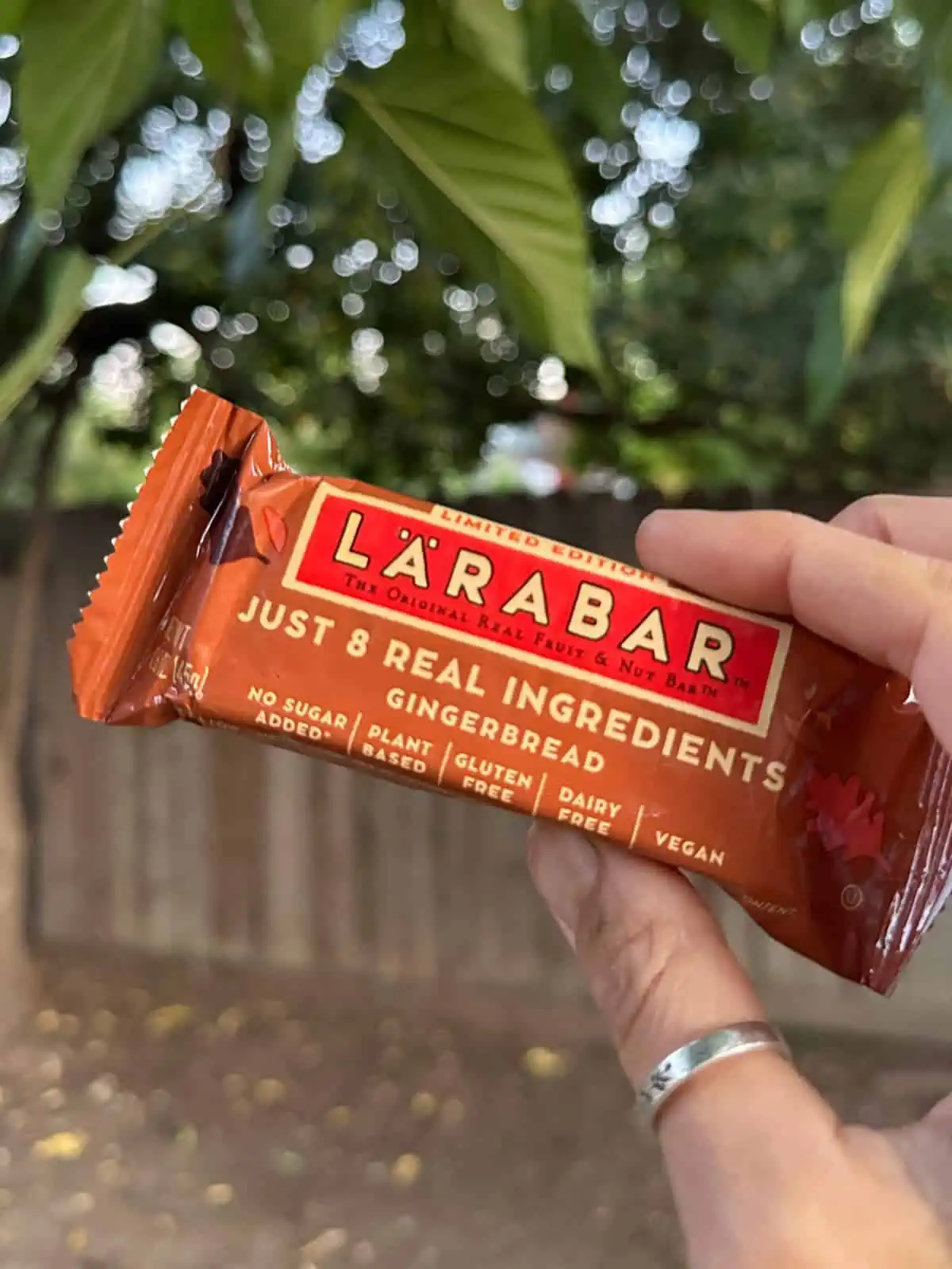 Holding out a seasonal gingerbread larabar with packaging visible. 