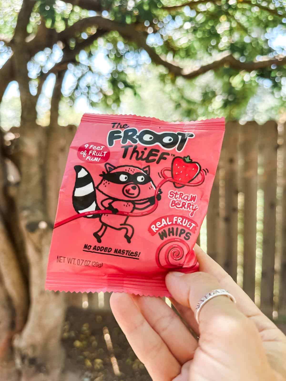 Froot Thief's fun fruit leather string with a cute raccoon on the kid's snack package.