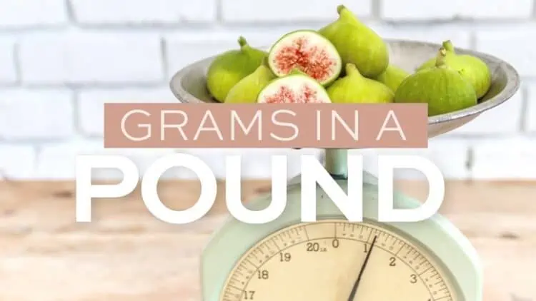 how many grams are in a pound scale photo