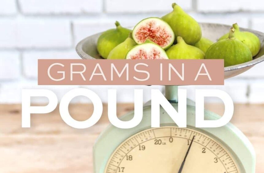 how many grams are in a pound scale photo