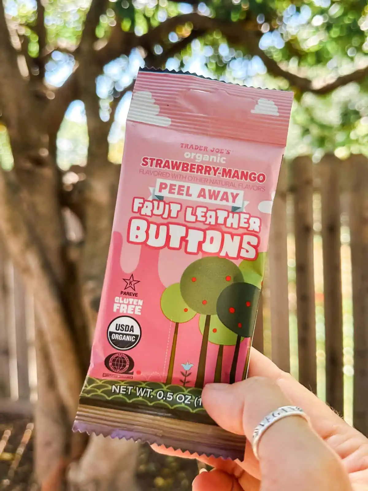 A vegan mom holdingo tu a small single-serving package of fruit leather buttons from Trader Joe's. 