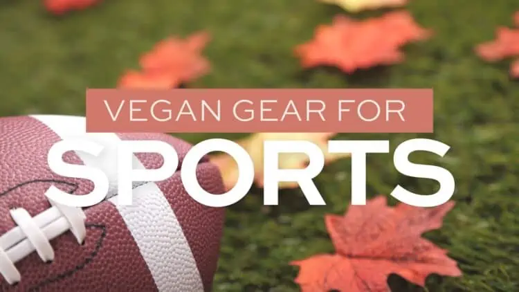vegan sports gear football soccer ball volleyball