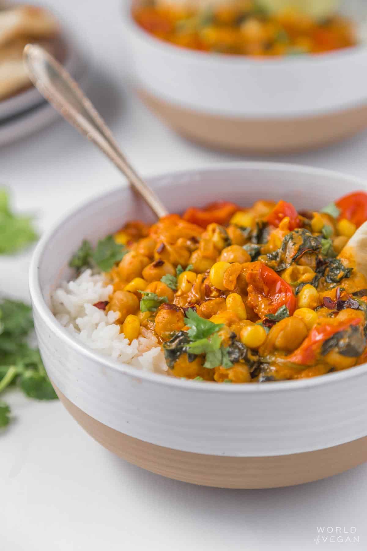 vegetable chickpea curry