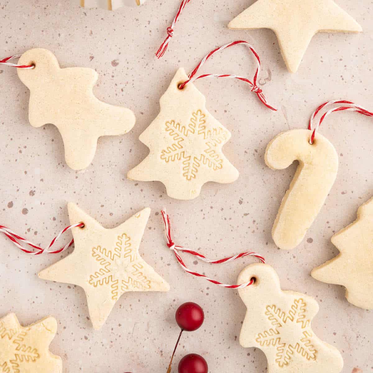 https://www.worldofvegan.com/wp-content/uploads/2022/11/Salt-dough-ornaments-featured.jpg