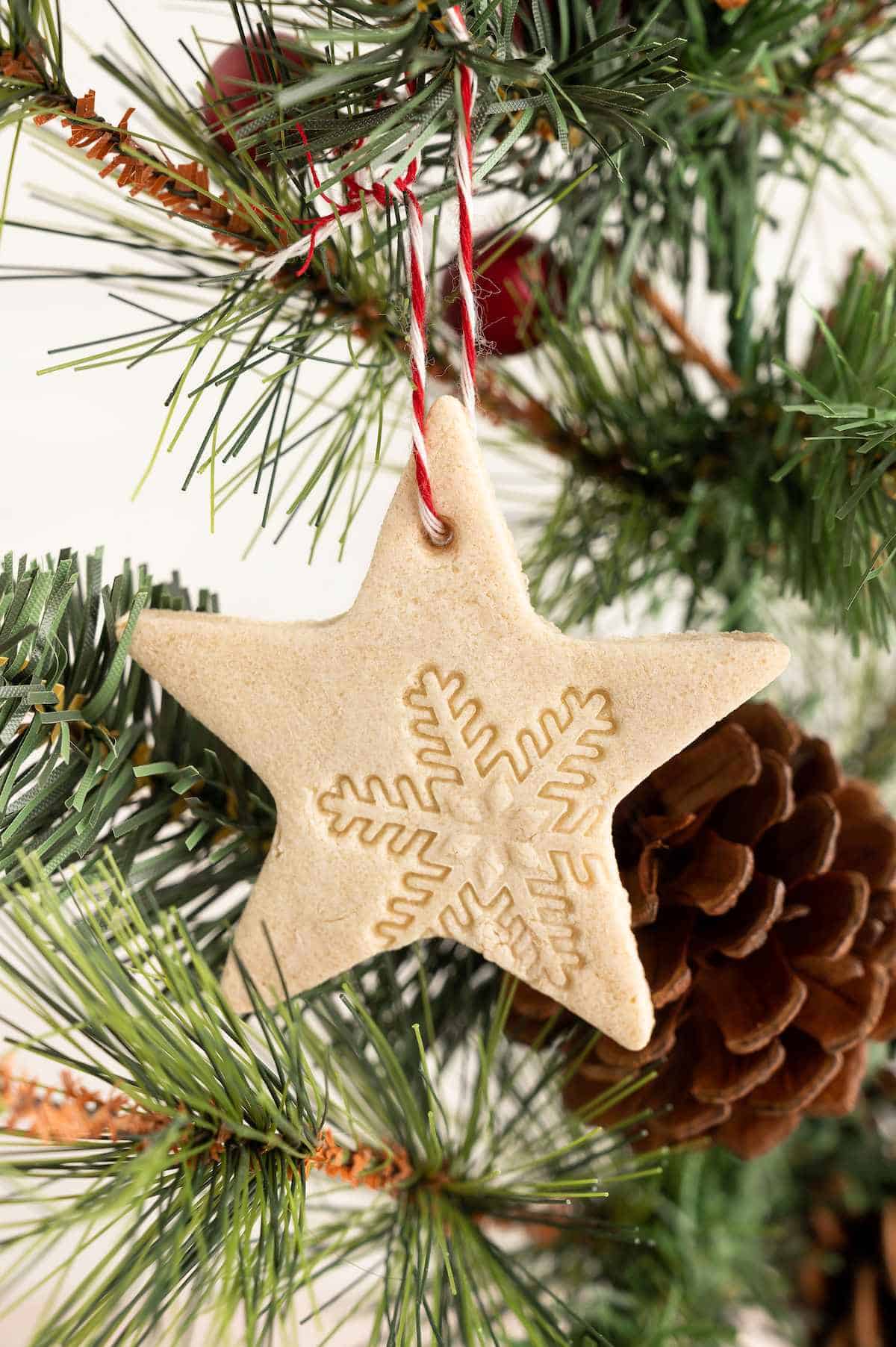 Salt dough ornament shaped like a star, hanging on a tree branch.