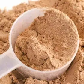 Scoop of soy protein powder.