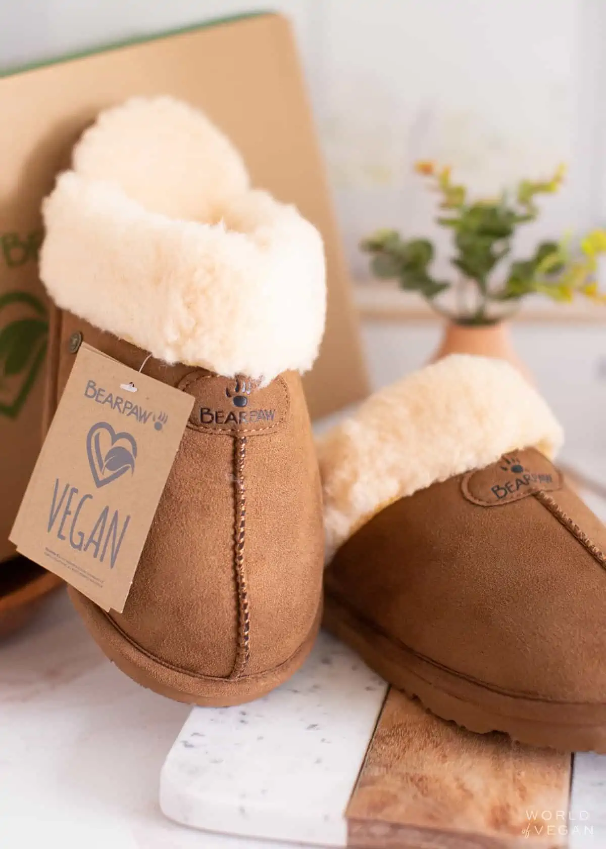 Vegan Uggs (Best Cruelty-Free Ugg Boots + Slippers)