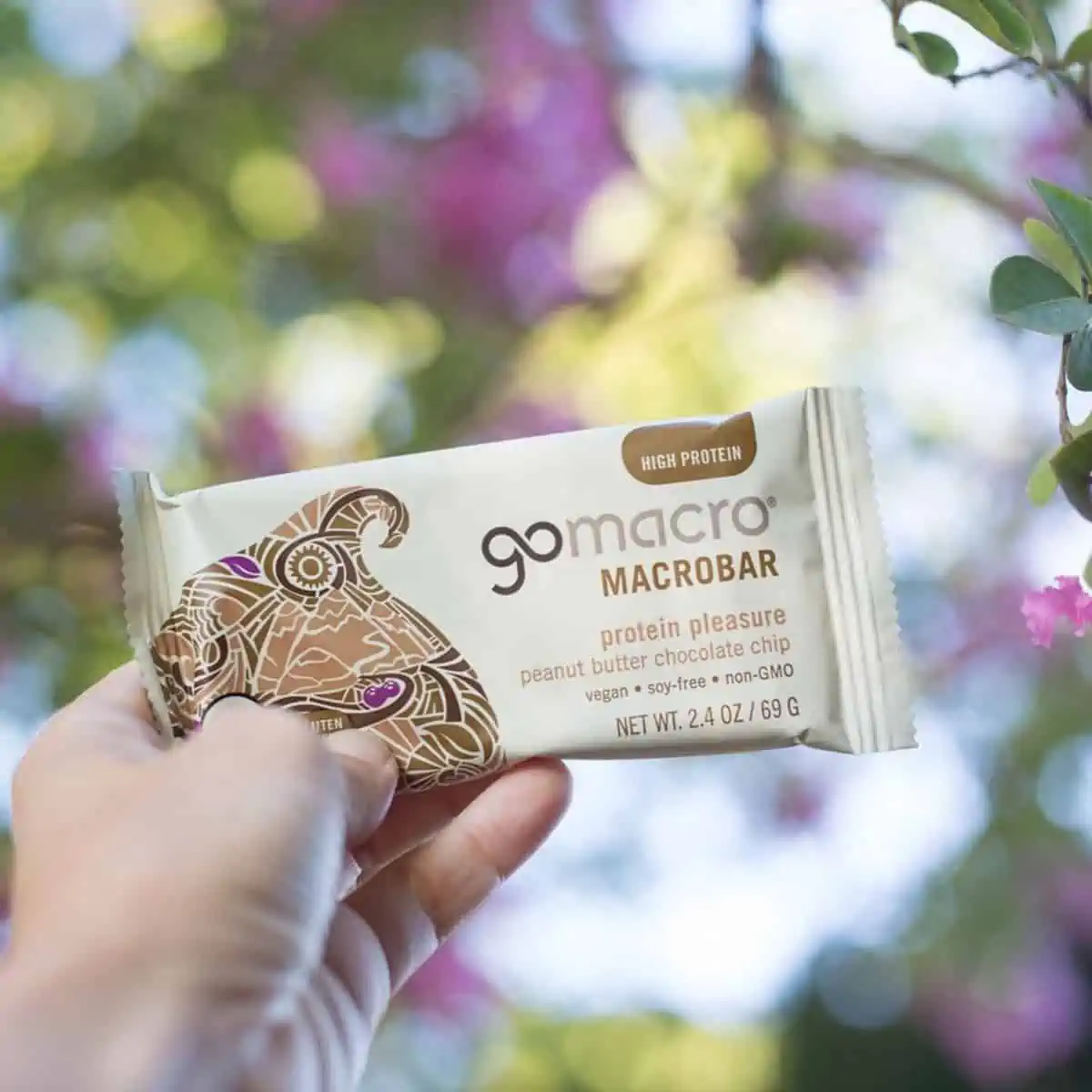 Hand holding out vegan peanut butter chocolate chip protein bar from Go Macro. 