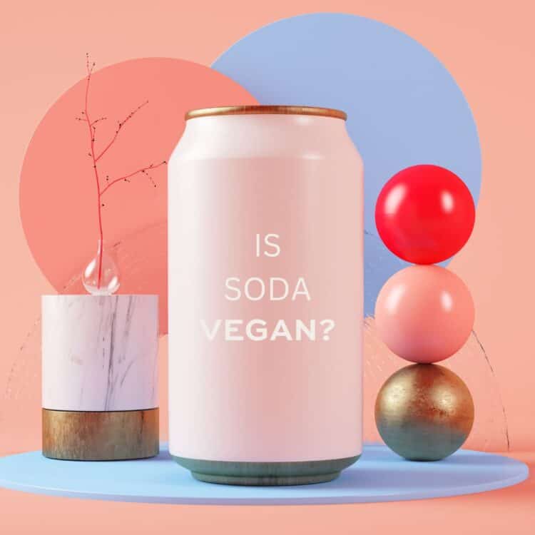 Is Soda Vegan? (Coca-Cola, Pepsi, Cream Soda, and more)