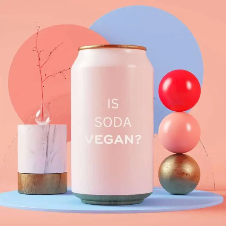 Photo of a pink soda can without brand name and the question "is soda vegan?" written on it.