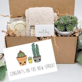 A box packed with a succulent plant, soy candle, cozy socks, and matches with a card about a new baby from Plant Box Co.