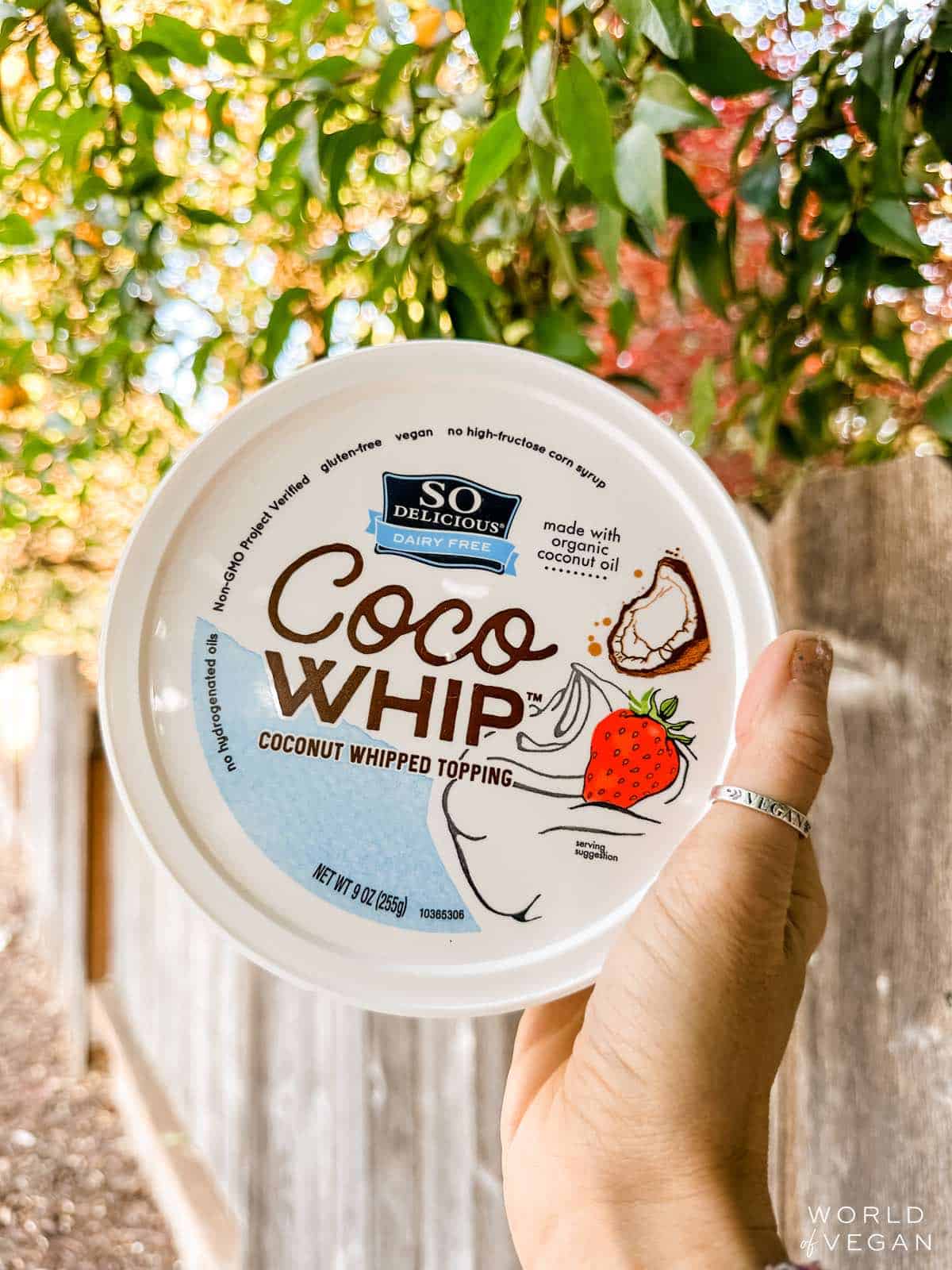 Store bought tub of coco whip coconut whipped cream from the vegan brand So Delicious. 