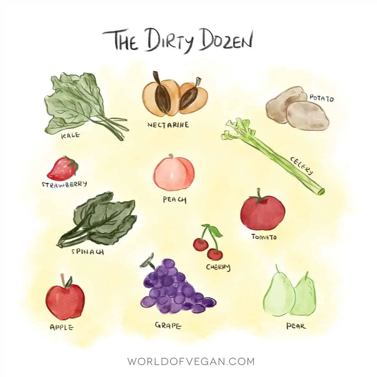 Illustration of the dirty dozen fruit and veggies that are most heavily sprayed with pesticides. 