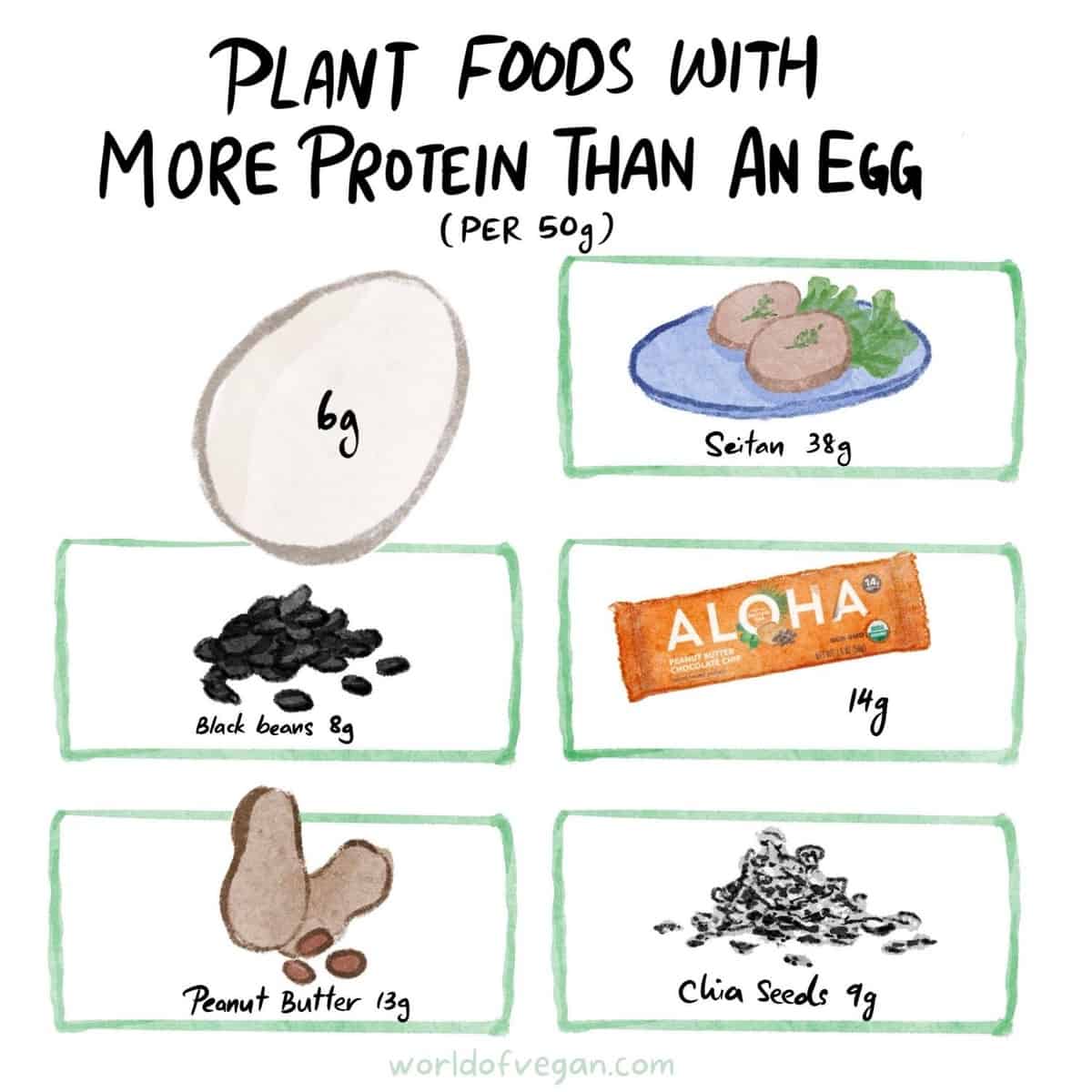 Vegan art graphic showing plant-based foods with more protein per serving than an egg. 