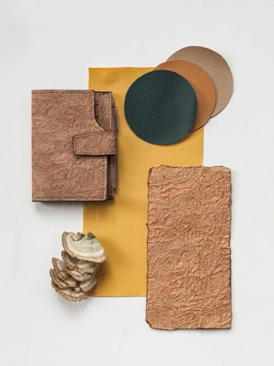 Vegan Leather Guide World of Vegan