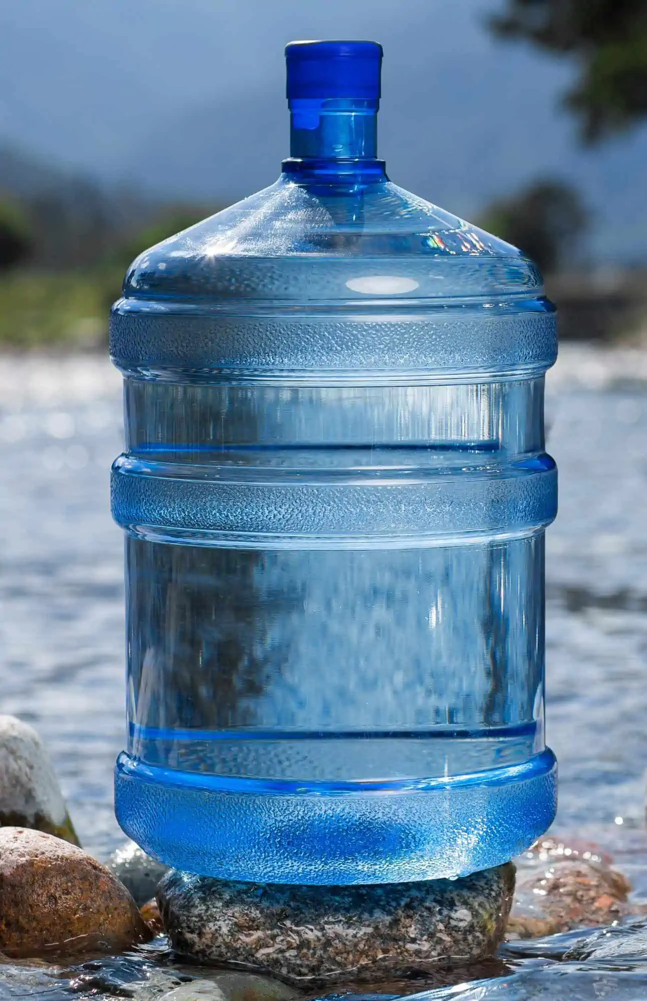 One gallon jug of water.